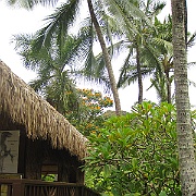 Picture 030